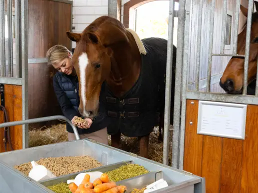 Robbin Kleermans geeft haar paard brokjes en de Voermeesters-voerkar staat erbij
