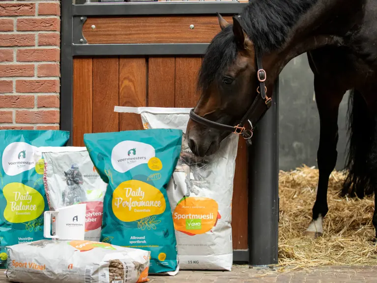 Paard in stal die snuffelt aan zakken voer van Voermeesters en Voermeesters By Nature. 