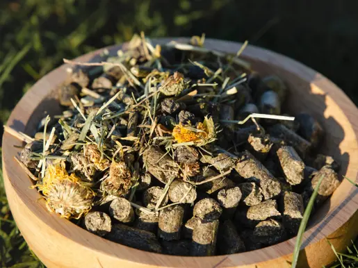 Voermeesters Daily Balance Vitality