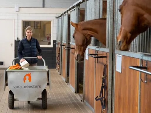 Robbin Klermans in haar stal met paarden en de Voermeesters-voerkar