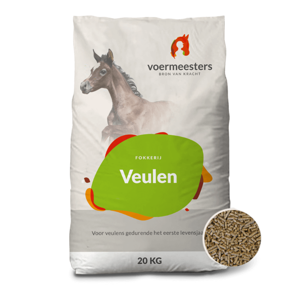 Voermeesters Veulen