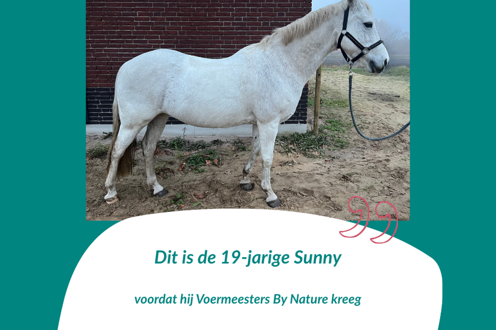 Review Stefanie - 19-jarig Sunny VOOR Voermeesters By Nature