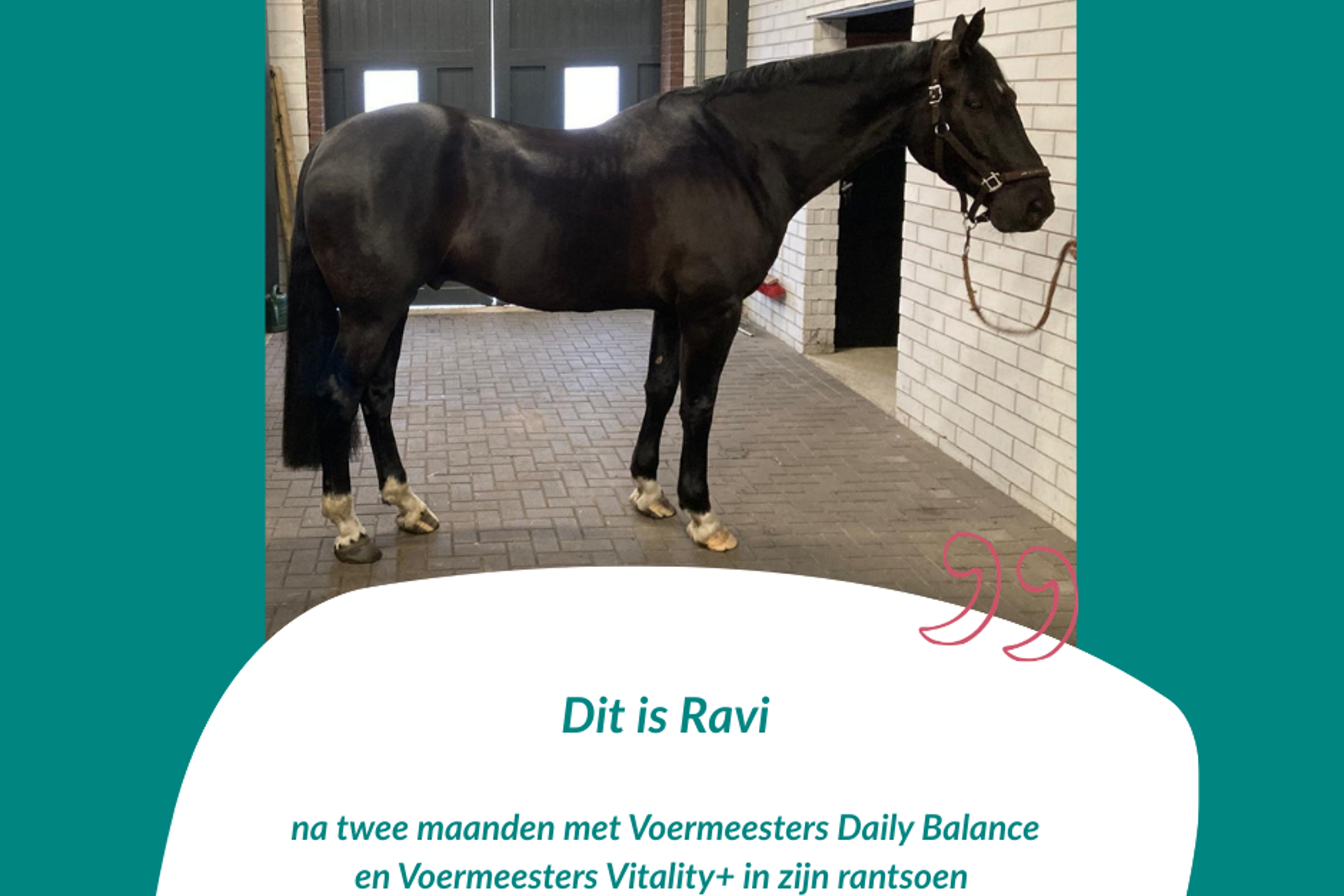 Review Stefanie - 5-jarige Ravi NA Voermeesters By Nature