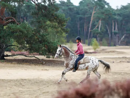 Ylvie Fros met haar paard Fitzer aan het galopperen op de heide
