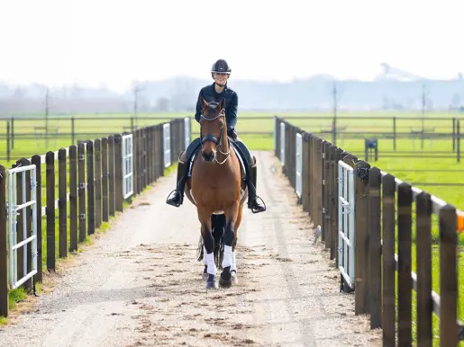 Robbin Kleermans op paard met paardenweides om haar heen.