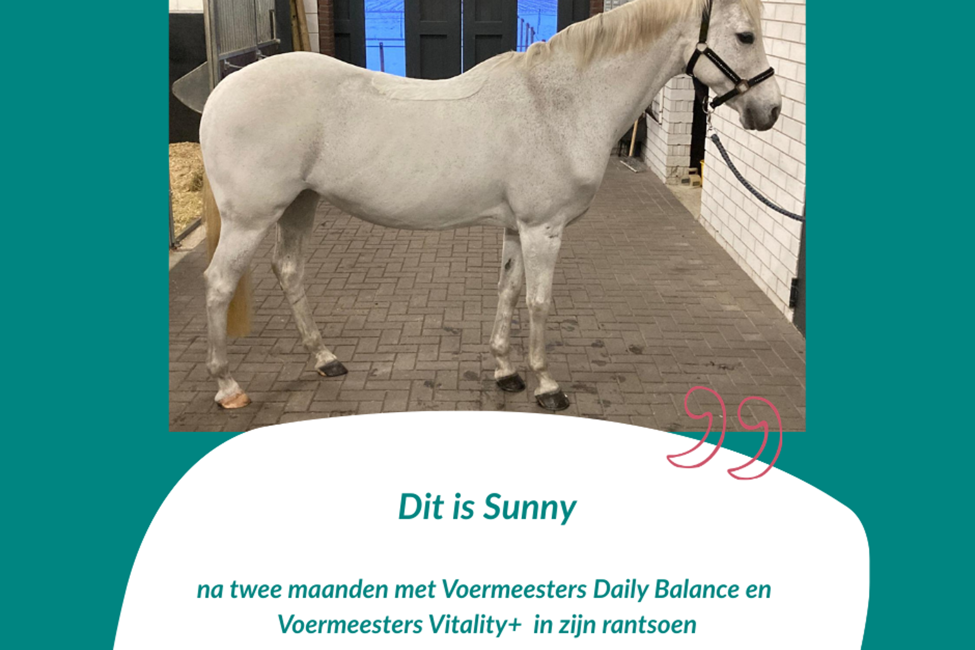 Review Stefanie - 19-jarig Sunny NA Voermeesters By Nature